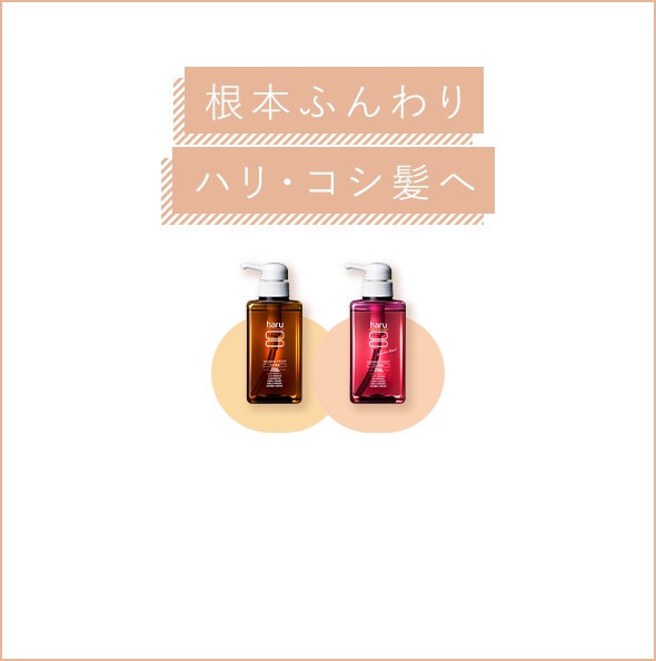 根本ふんわりハリ・コシ髪へ