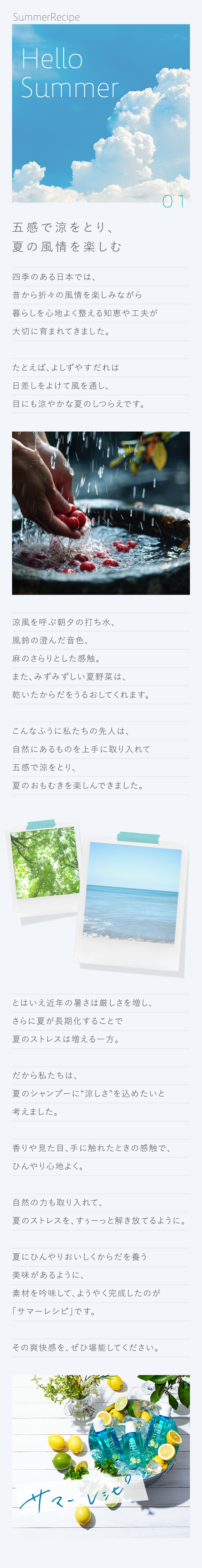 サマーレシピのこだわり｜【公式】haru オンラインショップ